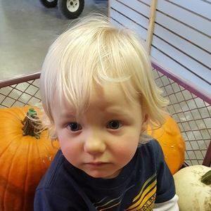 Meet your Posher, Pamela